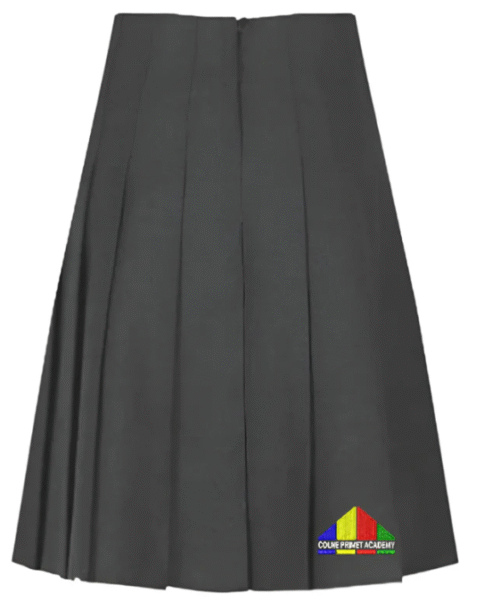 Girl Skirt CPA Waistless Adjustable Pleated Grey Skirt