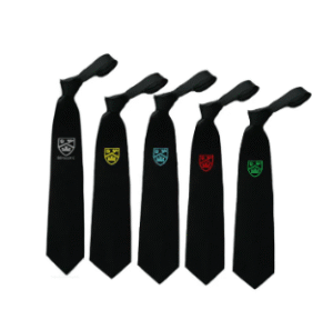 HOme ties Park High Ties