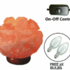 ff3 Himalayan Natural Rock Salt Fire Bowl Salt Lamp UK Switch Cable +2 FREE Bulbs Mother Day Gift