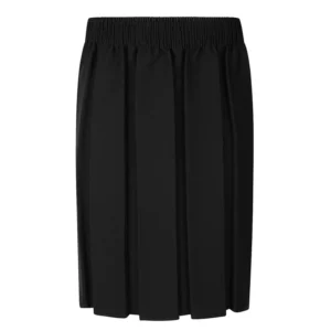 BlackBoxPleatedSkirtFullyElasticated Black Sturdy Skirt Half Elasticated