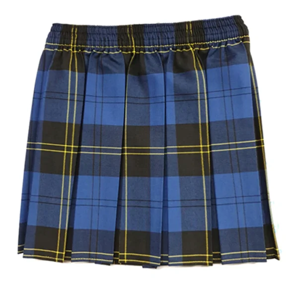 Bradley Primary Tartan Skirt