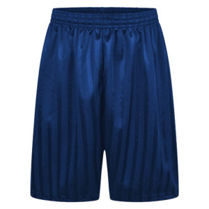 blue_shadow_stripe_short.jpg Shadow Stripe P.E Football Shorts Royal & Navy