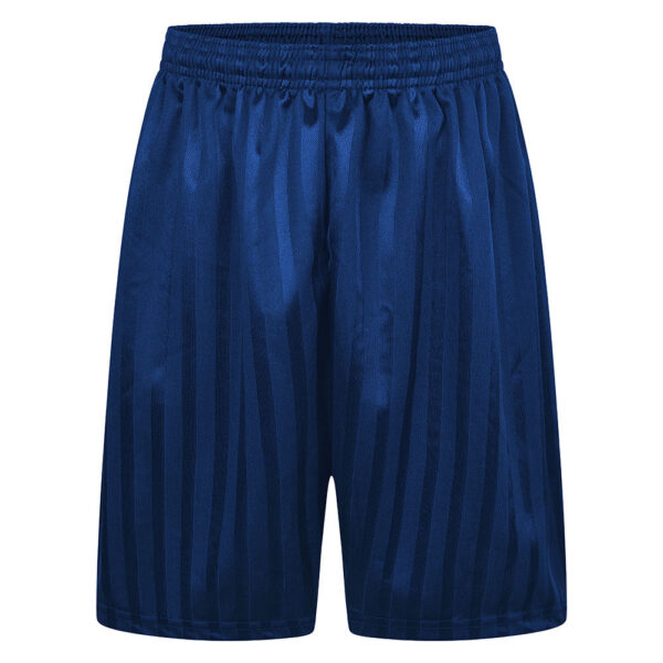 blue_shadow_stripe_short.jpg Shadow Stripe P.E Football Shorts Royal & Navy