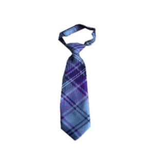 Laneshawbridge Tie